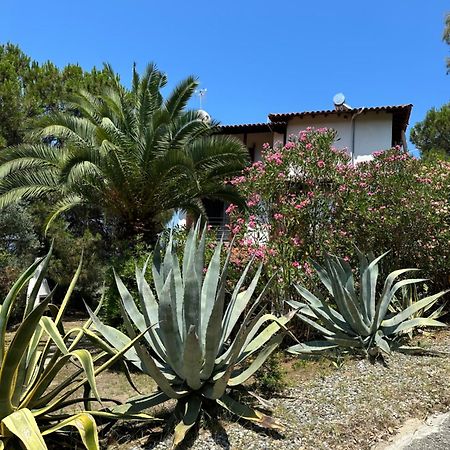 Villa Rena Vourvourou Exterior photo