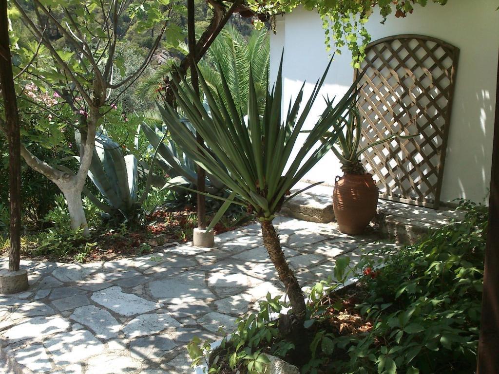 Villa Rena Vourvourou Room photo